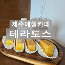 명품고양이카페 | 제주도 애월카페 테라도스 명품 디저트