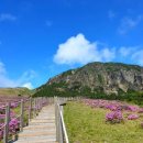 서귀포자연휴양림 이미지