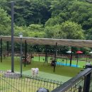 어비 포레스트 네이버블로그