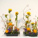 pararell-vegetative 이미지