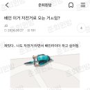 준방 - 영도구 | 준방