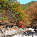 JIRI VALLEY 이미지