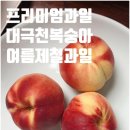 당도 - 전주시 덕진구 조경단로 104 | 대극천 복숭아 체험단 후기, 프리미엄과일 당도와 신선도 솔직 정리