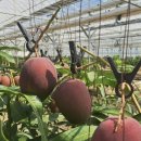 길만농장 이미지