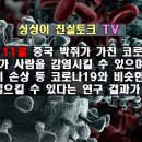 미국과 중국에 의해 인위적으로 만들어진 코로나 바이러스의 전파 과정 정리 이미지