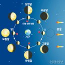 달토끼