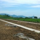 건아태양광발전소 이미지