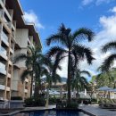 웅이안경 | 보홀 3일차 파란만장 육상투어 🚐 현지 기사님 erwin 대강추