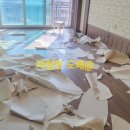 노원-상계-2069 이미지