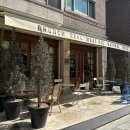 정발산미트