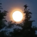 승모농장 이미지