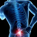 바디채움운동센터 이미지