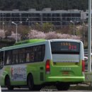 사파동214 이미지