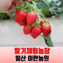 이덕재농장 이미지