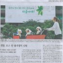 파랑