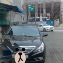 애니카랜드 신정점 이미지