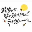 풍성문구