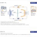 여객터미널 이미지