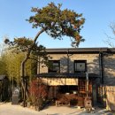 서라온5 이미지