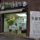 애니케어동물병원 이미지