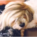 용암민박 이미지