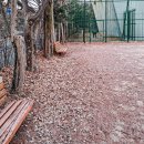 정발중학교 주변 이미지