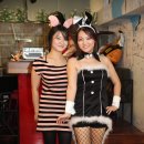 호박나이트 이미지