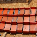 백수 농장 이미지