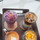 바다를 담다 | 속초 영금정을 품은 바다뷰 맛집, '카페 바다담다' 내돈내산 후기