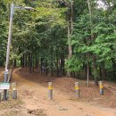 논산 반야산 등산로, ‘위험한 가로등 방치’ 시민 안전 위협 이미지