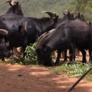 최재용농장 이미지