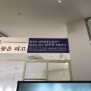 남북통합문화센터 | '바람이 불어도 꽃은 피고' 심수진 작가 / 남북통합문화센터 여름 실내 활동