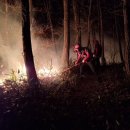 강원 양양 산불 확산...인근 주민 긴급 대피령 이미지