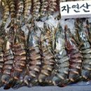 삼성수산(01월20일)_노량진수산시장(수산물,해산물 총집합) 이미지