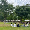 안성맞춤랜드 이미지