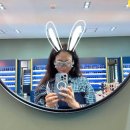 진재영 카카오 검색결과