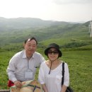 횡성목장 이미지