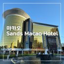 블랙샌즈 관광호텔 | 샌즈 마카오 호텔 디럭스룸 후기, Sands Macao, 마카오 호텔 추천, 수영장, 셔틀버스