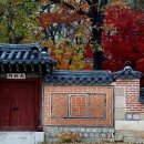 Korean gate and flower wall in Autumn 이미지