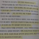 태완농장 | 알로하, 나의 엄마들(이금이)