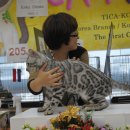 실버캐슬 캐터리 이미지