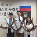 보조개한의원