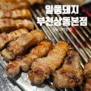 임금돼지부천본점 | 부천 상동 고기집 일품돼지 부천상동본점 육즙가득한 솔직후기