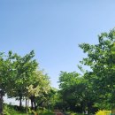 낙동제방 자전거도로 이미지