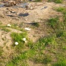 진해기술지원과(진해농업기술센터) 이미지