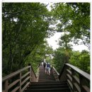 남도의 향기 이미지