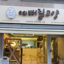 예뻐질고양 | 대전 고양이미용 추천 대전 예뻐질고양 방문후기