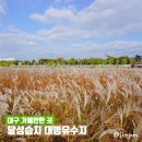 달서희망워킹로드 희 | 대구 달성습지 대명유수지: 12월까지 갈대밭 산책 가능한 곳!