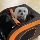 우리오리농장 이미지