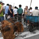 모란시장 이미지